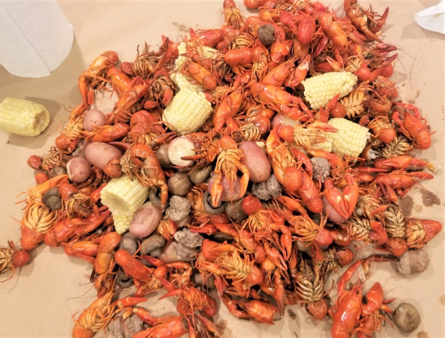 Washington Crawfish Company Signal Crawfish PNW Crawfish 101