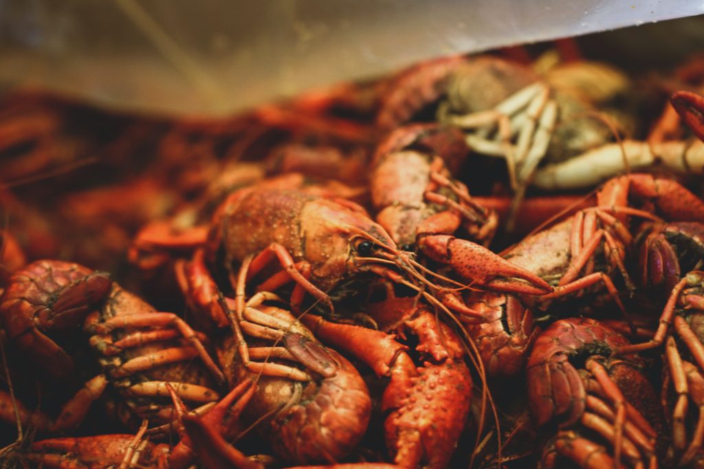 Cooked Crawfish