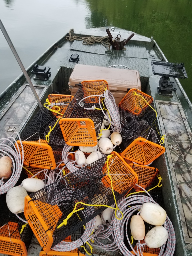 Live Crawfish Trap