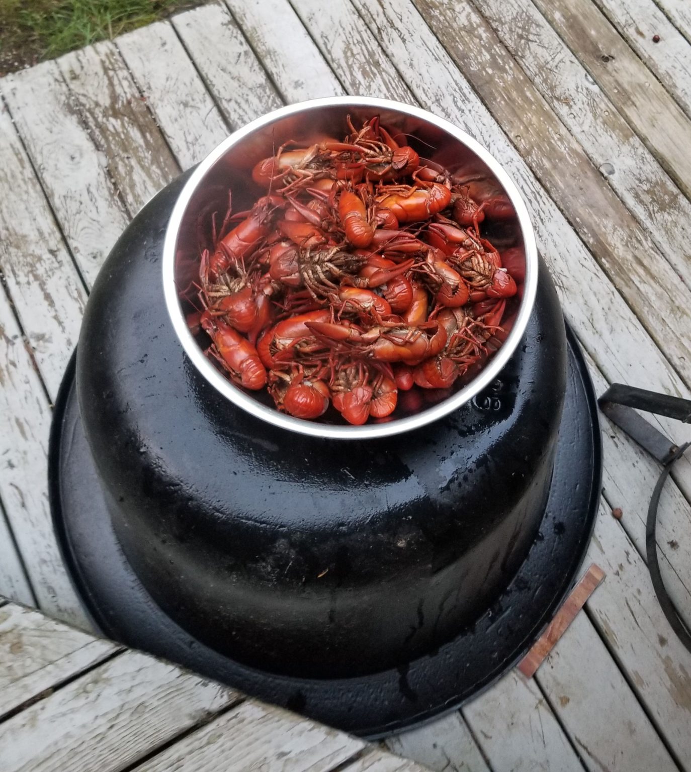 Best Crawfish Boil Recipe Live Crawfish