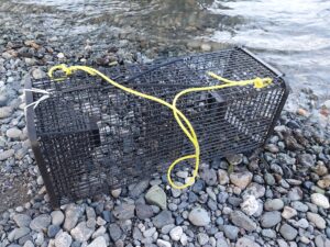Square Crawfish Trap