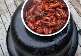 Cooked Signal Crawfish RecipeWashington