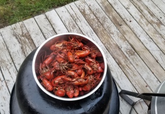 Cooked Signal Crawfish RecipeWashington
