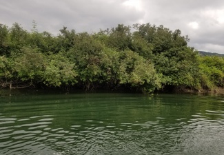 Crawfish Live Fishing Location River