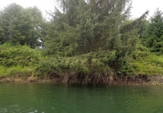 Crawfish Live Fishing Location River
