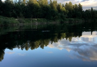 Crawfish Live Fishing Location River