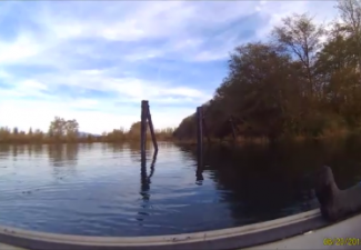 Crawfish Live Fishing Location River